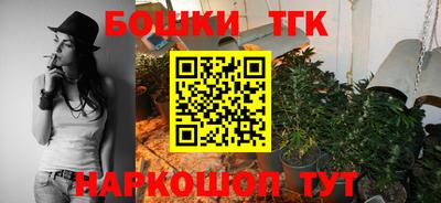 spice Гатчина