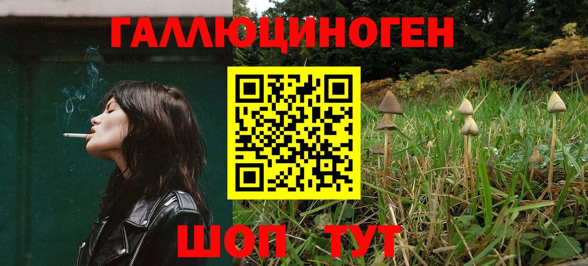 Михайловск  наркотики  Вход с VPN  Галлюциногенные грибы ЛСД 